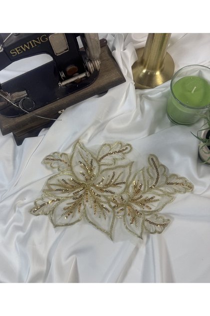 Elegantan i stilski izvezeni aplikativni motiv