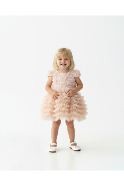 Baby Girl Rose Detailed Layered Tulle Evening Dress Pink 9-36 Months