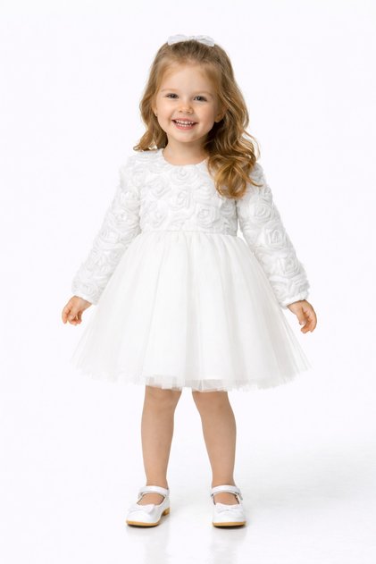 Baby Girl Children's Birthday Party Wedding Dress Long Sleeve Rose Bow Tulle Tutu Lined