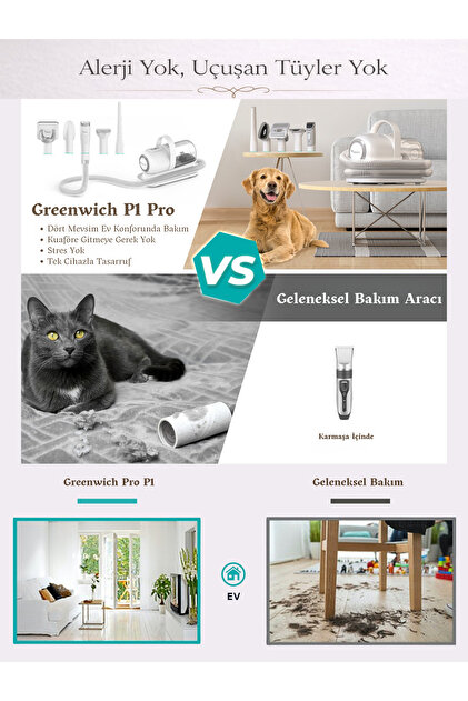 10.22 フライングホヌ ターコイズグリーン 1/150 Greenwich Zero Point of Beauty Greenwich Tüy Tıraş Makinası