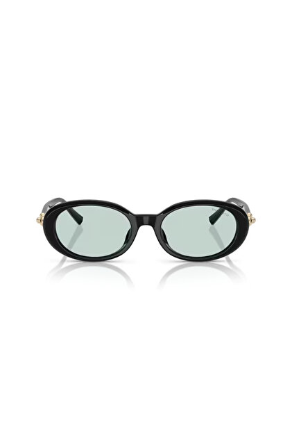 Tiffany &CO. TF 4242D 8001D9 54 Kadın Güneş Gözlüğü - Fiyatı