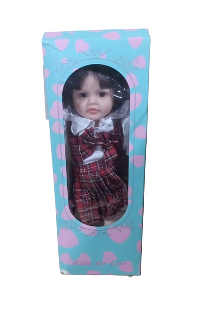 A realistic Reborn doll designed to mimic the appearance of a real baby, complete with a real baby voice and a replaceable battery.