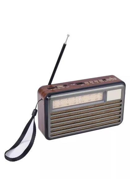 DENX Dx2437 Rechargeable Hi-fi Radio With Remote Control, Large Capacity Battery