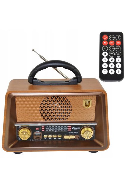 DENX Dx2440 Rechargeable Hi-fi Radio With Remote Control, Large Capacity Battery
