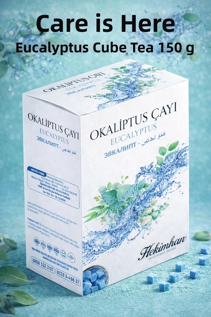 3 Boxes Eucalyptus Tea Cube Sugar-Shaped Eucalyptus Tea Winter Tea Eucalyptus Cube