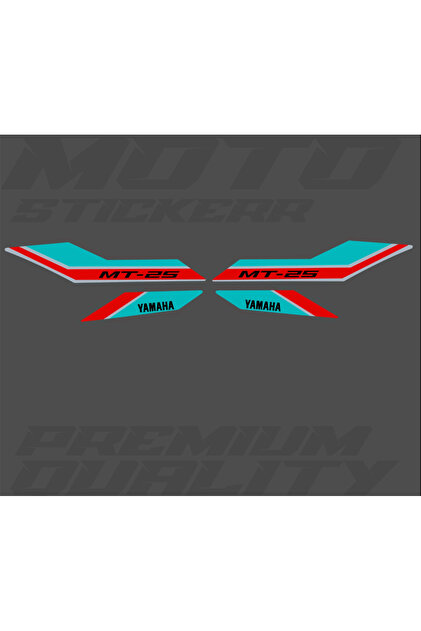 Kawasaki ZX-6R 2008 Orijinal Sticker Set - Fiyatı, Yorumları