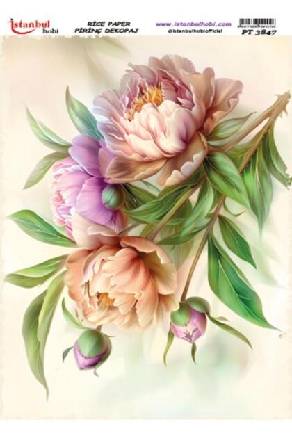 Rice Decopage Paper 30X42Cm Pt-3847 Flower