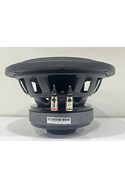For-X XW-2020S4V2 600 WAT 300 RMS 20 CM BAS SUBWOOFER - Fiyatı