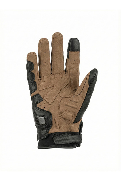 Seasonal Carbon Palm and Joint Protection