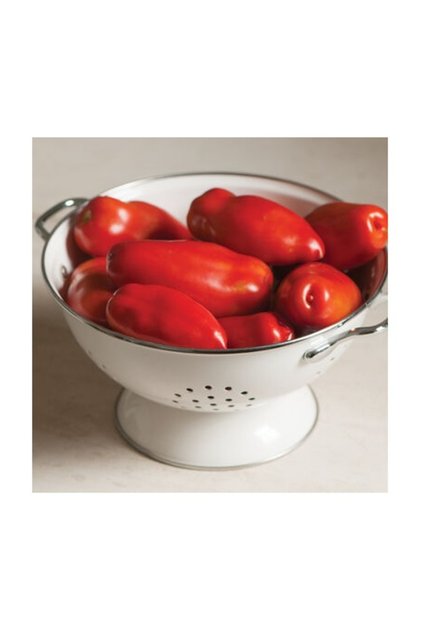 Seminte tomate TIREN F1 (250 sem)