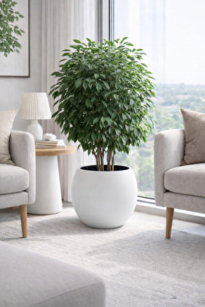Nettenevime Yapay Zeytin Ağacı Antrasit Küre Saksıda 120cm Doğal