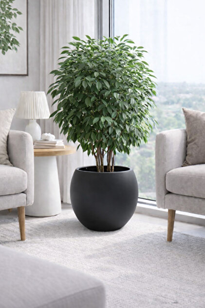 Alezy Küre Model İç Drenaj Hazneli Dekoratif Modern Saksı 27,5 lt