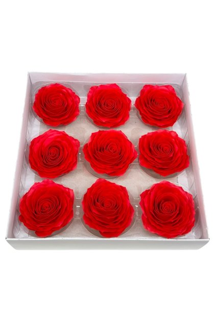 Set 9 Trandafiri Sapun Elite Rosu