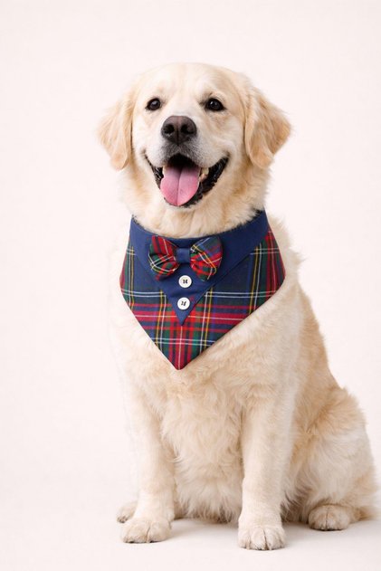 Special Design Dog Bandana with Bow Tie – Plaid Pattern, Stylish Accessory with Three Snaps, Navy Blue (Large Breed)