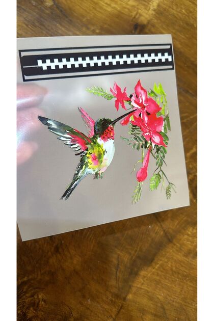 Iron-On Design Floral Bird Transfer Printing Arma 13X12 cm