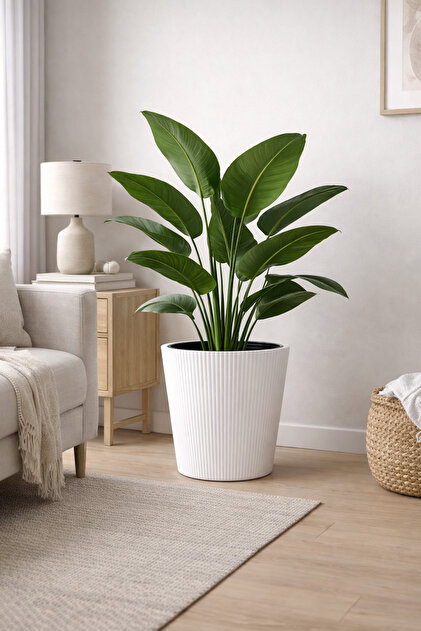 Alezy Luna Model İç Drenaj Hazneli Modern Plastik Saksı 29 lt