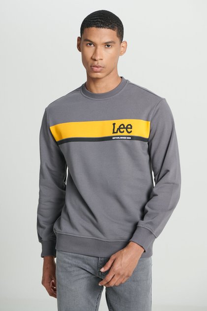Regular Fit Normal Kesim Bisiklet Yaka Antrasit Sweatshirt