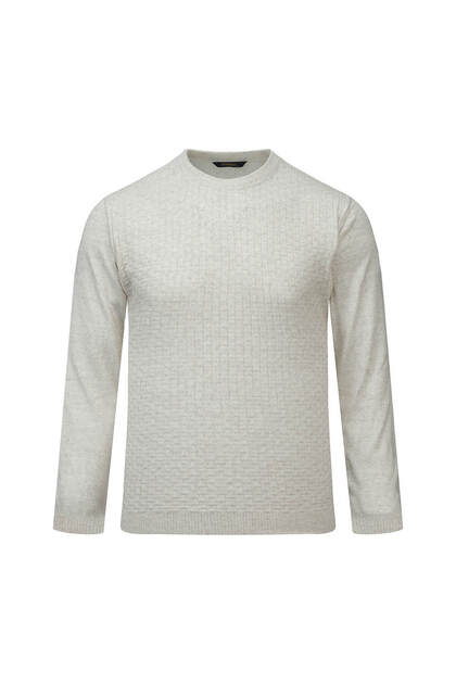 Beige Regular Fit Jacquard Crew Neck Wool Sweater