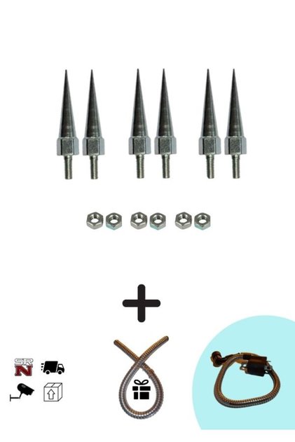 Cg Cup E-bike 6 MM Modifiye Gri Sivri Vida 6 Adet+somun seti (+buji kablo kılıfı)