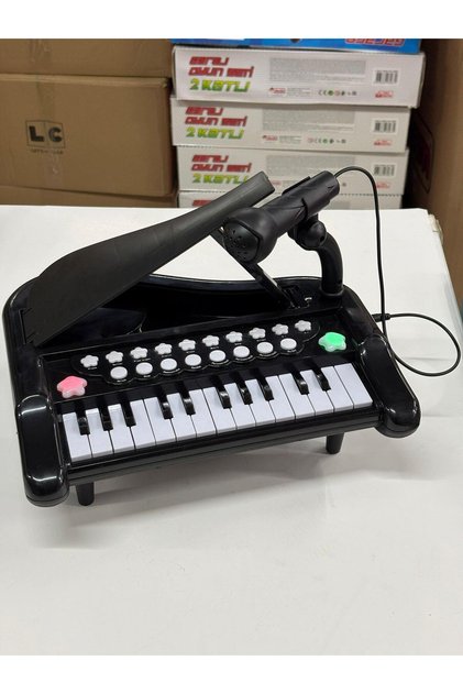25 Tuşlu Mikrofonlu Minyatür Piyano Müzik Ses Efektleri 29 Cm Mini Org
