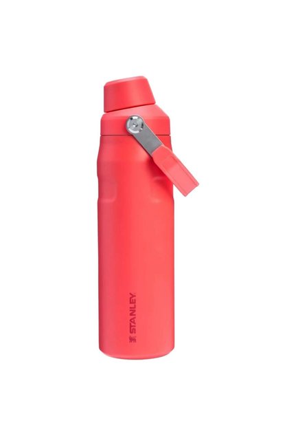 The Iceflow Bottle Fast Flow 0.7L Water Bottle Thermos 10-11287-330