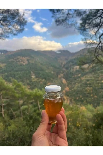 Hakiki Deli Bal 850 gr - Doğal Saf Orman Gülü Balı