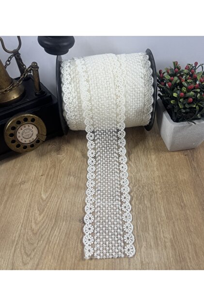 Elegantna čipka sa finim točkastim detaljima (1 metar)