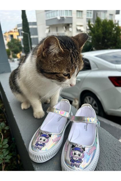 Labubu Girl's Hologram Shiny Ballet Flats – Velcro Shoes (Not Lighted, Sizes 31-35)
