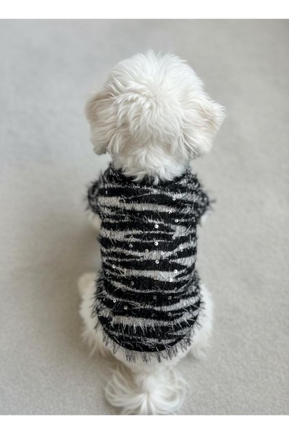 Zebra Patterned Hedgehog Dog Sweater Dog T-Shirt