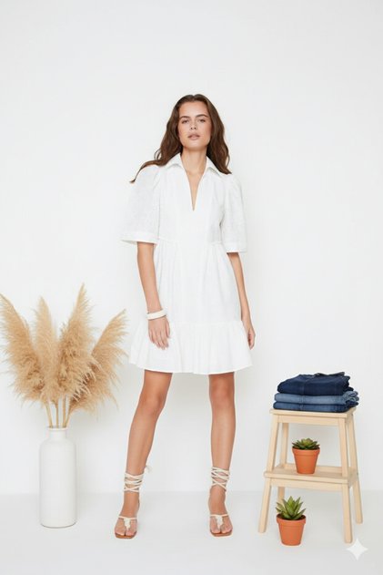 White Skater/Flared Waist Brode Mini Lined Woven Dress