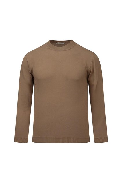 Brown Regular Fit Half Turtleneck Rayon Sweater