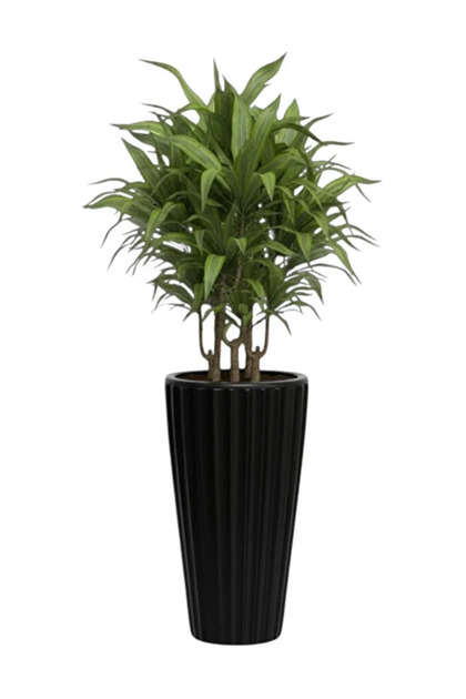 Lilyum Dekoratif Çizgili Saksı Vazo & Şemsiyelik Beyaz Renk 58 cm (İçliksiz)