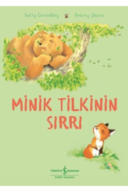 The Secret of the Little Fox