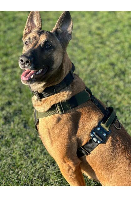 Handmade-Tactical Protection-Hunting-K9 Chest Harness. Write Us the Dog's Measurements as Answer to the Question