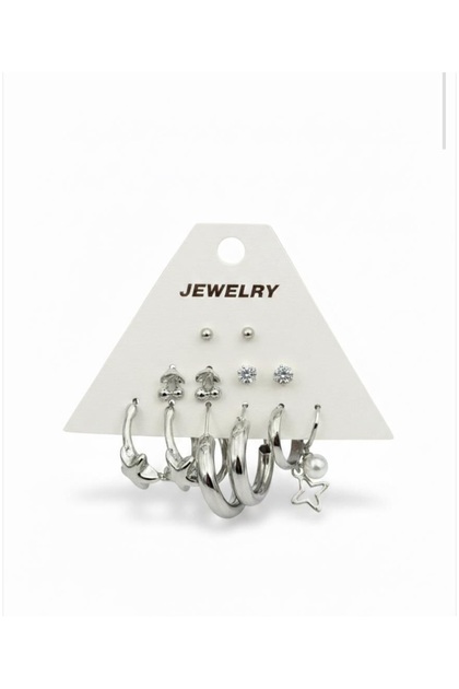 Silver Color 12Pcs(6 Pairs) Stainless Steel Earring Set 20