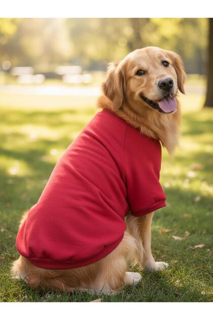 Reddy Kırmızı Kapşonsız Sweatshirt, Orta ve Büyük Irklar İçin