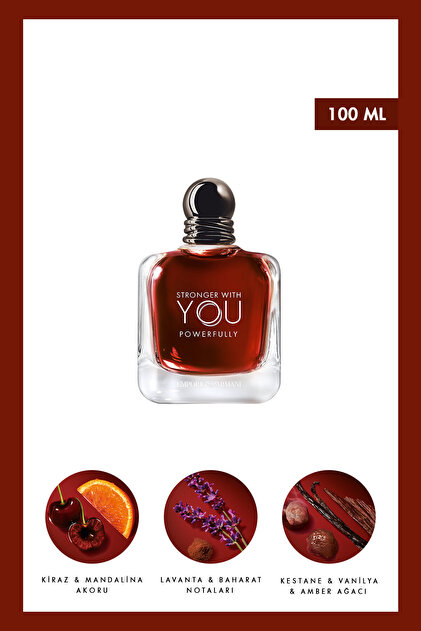 Emporio Armani Stronger With You Absolutely EDP 100 ml Erkek
