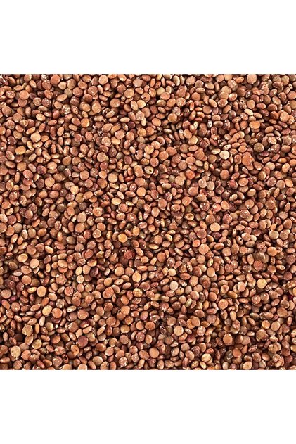 Sumak Tane 250 g