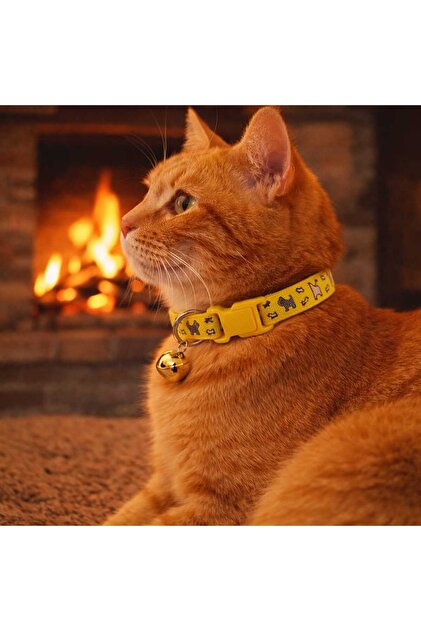 Cat Dog Collar