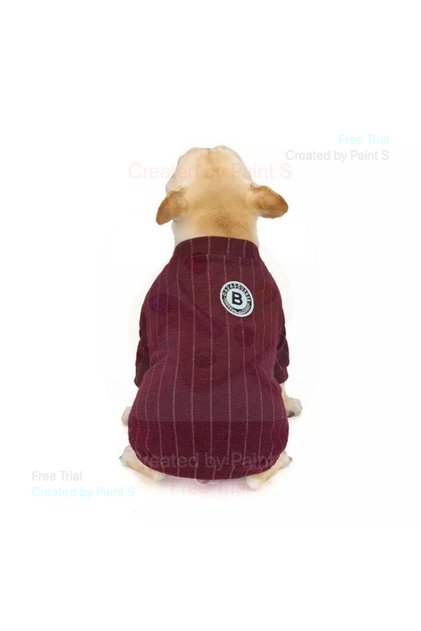 Tricou căței