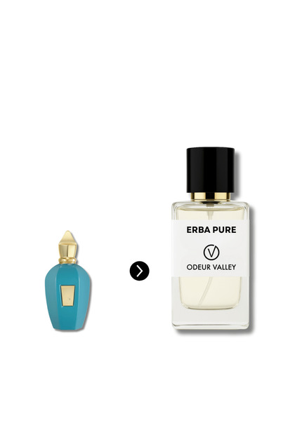 Erba Pura Inspired Perfume in Dubai | Xerjoff Alternative