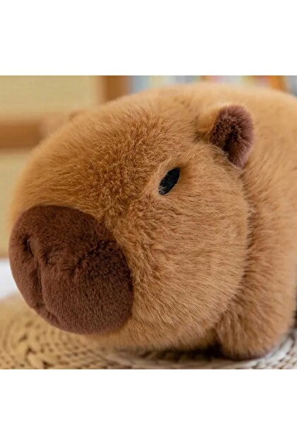 NB market Avakado capybara peluş oyuncak, kapibara peluş oyuncak