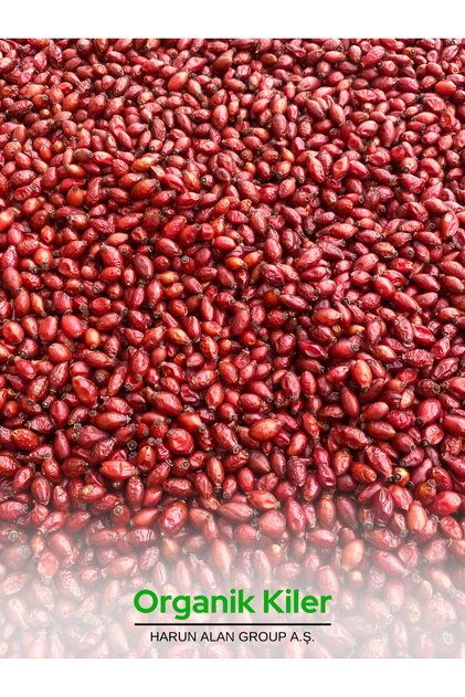 Kuşburnu 500 g