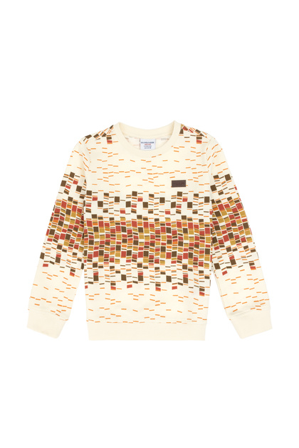 Boy's Cream Crew Neck Thin Sweatshirt 50308534-Vr256