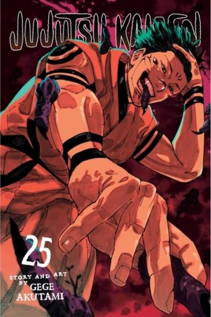 Jujutsu Kaisen, Vol. 25, Gege Akutami