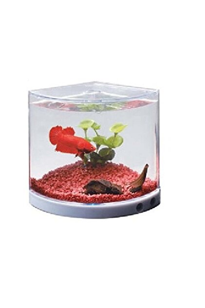 The Wonder Aquarium Small Size T201