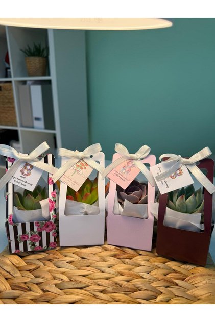 8 MART KADINLAR GÜNÜ ÖZEL ÇANTA MODEL HEDİYELİK SUKULENT KARIŞIK 4 RENK (20 ADETLİK)