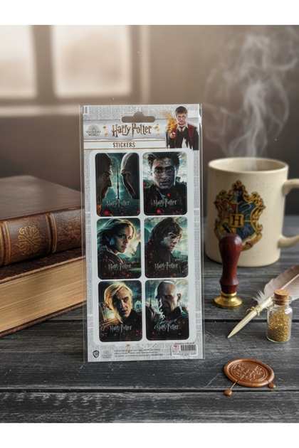 Harry Potter Lisanslı 2'li Sticker Set