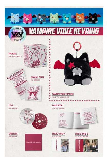 tays store ENHYPEN - [THE SIN : VANISH] Voice Keyring Ver. Album