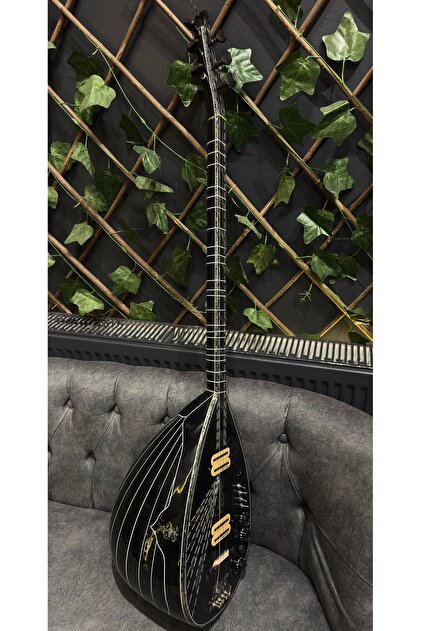 Profesyonel Siyah Elektro Bağlama (soft Case Dahil )